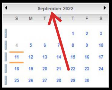 View Service by Month
